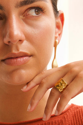 ANILLO